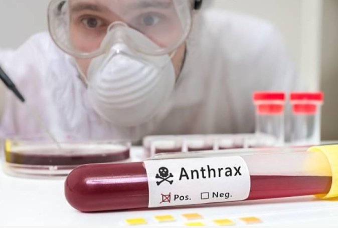 El ántrax, una enfermedad bacteriana causada por Bacillus anthracis, presenta síntomas variados tanto en humanos como en animales, dependiendo de la forma de exposición y la respuesta del organismo afectado.