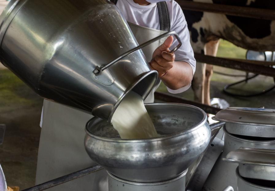 EE.UU. ordena analizar muestras de leche de todo el país para detectar focos de gripe aviar
