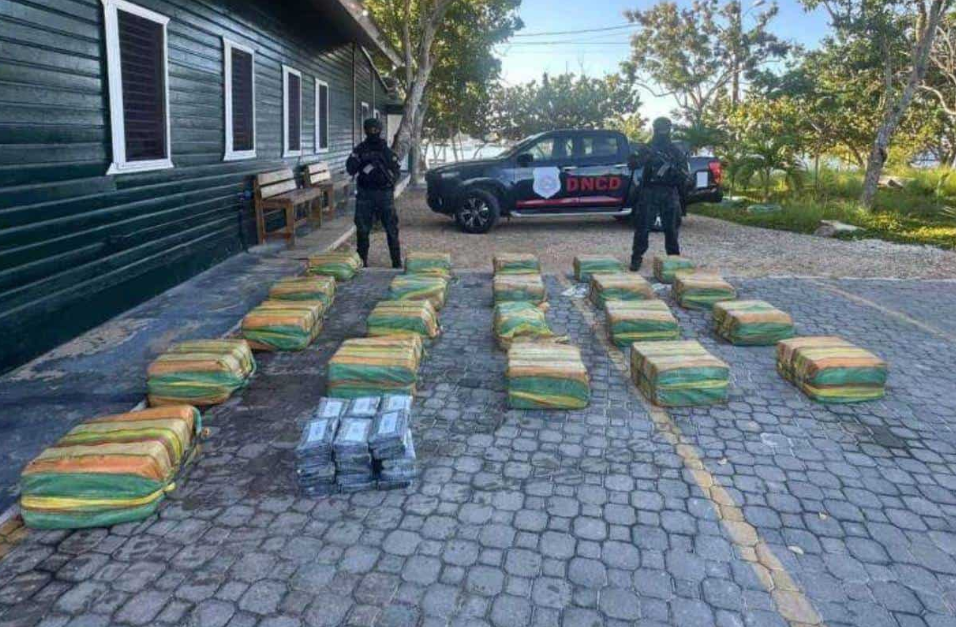 ¿Cómo operaba la red criminal desarticulada mediante la Operación Panthera 7?