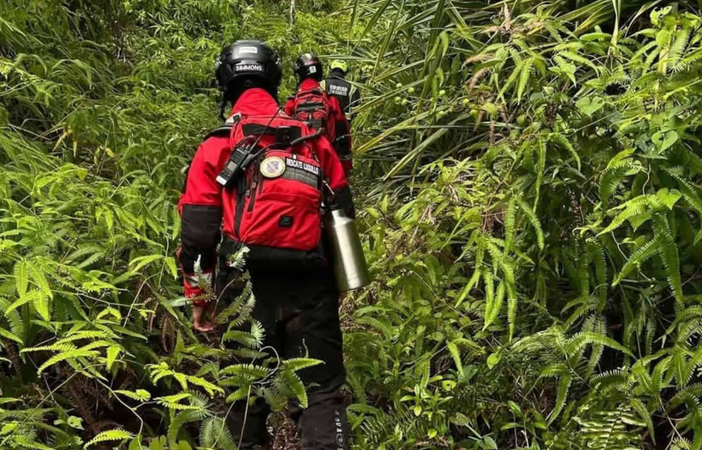 Buscan a un hombre residente de Wisconsin que se perdió en bosque tropical de Puerto Rico